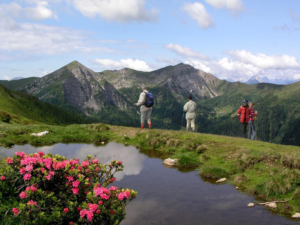Ferienhaeuser Familie Hofer Stockenboi Weissensee Bagian luar foto